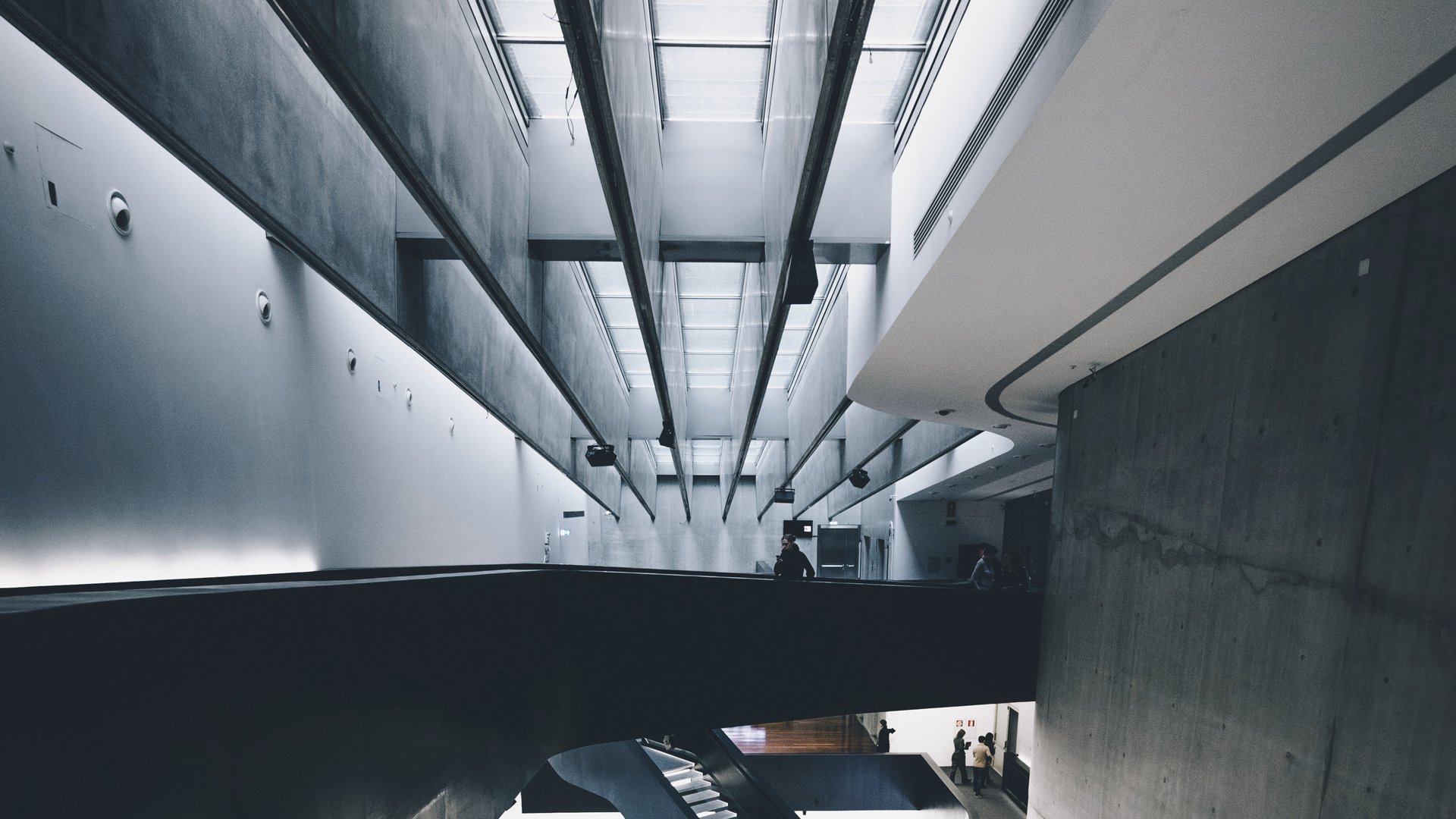 Domo – B Galeria 2